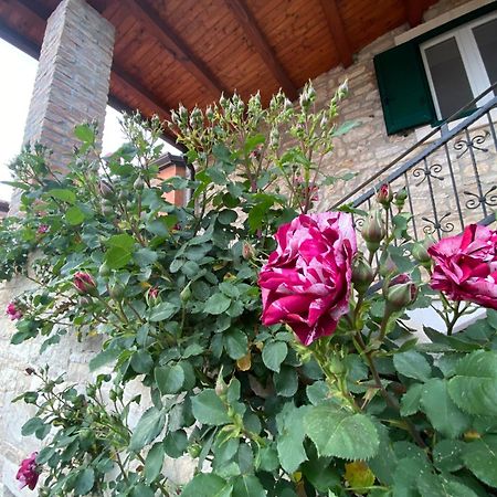 Villa Kortina Bašanija Eksteriør billede