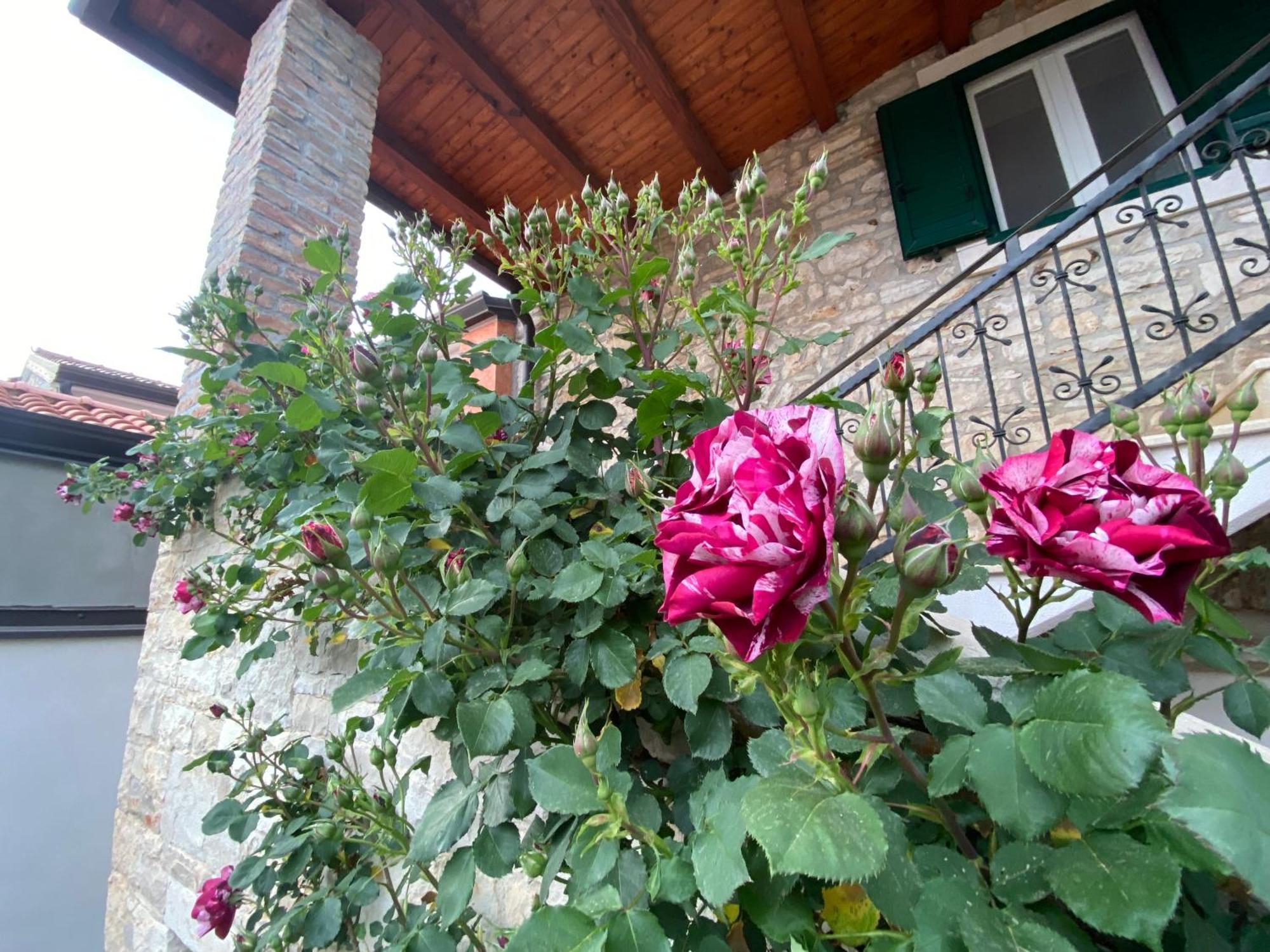 Villa Kortina Bašanija Eksteriør billede